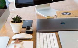 开云官方网-体育新闻中心推动基层体育数字内容生态建设，体育产业数字化