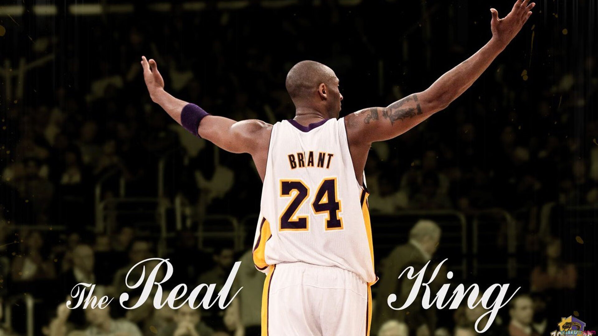 “中国泳坛新星彭尤：蝶泳自由泳双项进步神速”